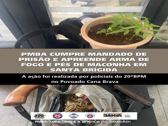 POLICIA MILITAR CUMPRE MANDADO DE PRISÃO E APREENDE ARMA DE FOGO E PÉS DE MACONHA EM SANTA BRÍGIDA