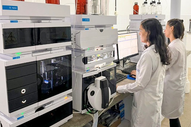 Pesquisadora do Cetab é premiada por estudo sobre abelhas sem ferrão publicado em revista internacional