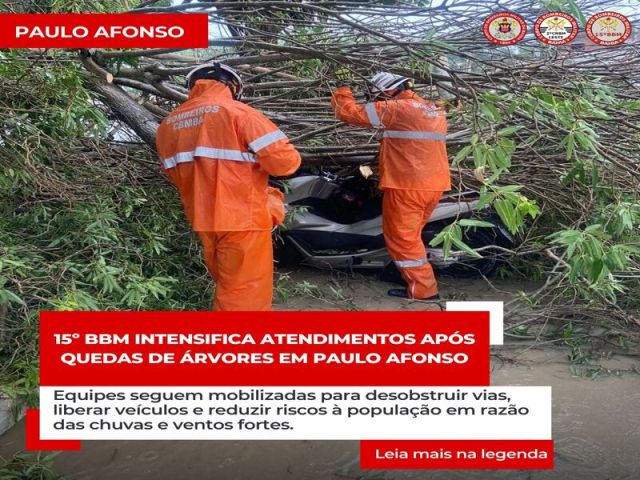 15º BBM segue atuando em ocorrências de quedas de árvores provocadas por chuvas e ventos fortes em Paulo Afonso