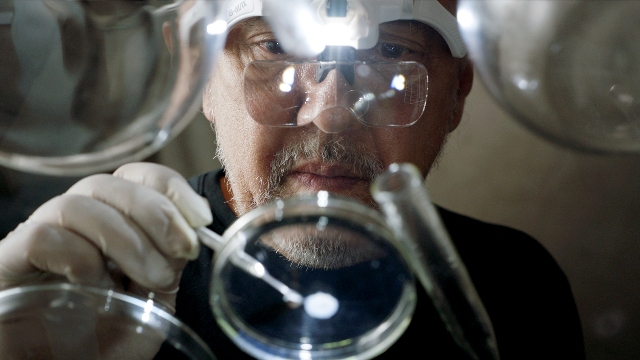 “Sua pele não é um teste”: Avon convida artistas para assinarem primeira tatuagem em pele feita em laboratório