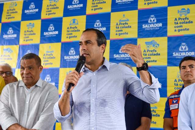 Prefeitura de Salvador chega a 588 áreas protegidas com nova intervenção na Cidade Nova