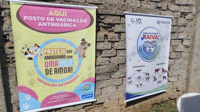 Salvador intensifica vacinação antirrábica no bairro de Nova Brasília