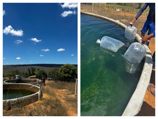 Prefeitura de Glória incentiva a piscicultura e fortalece a produção rural