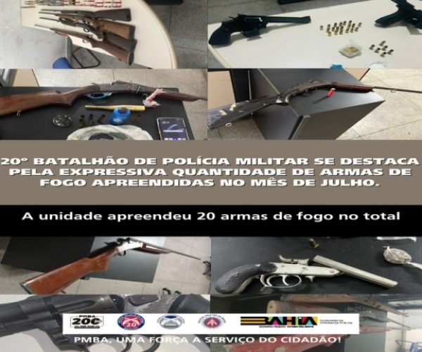 POLÍCIA MILITAR SE DESTACA PELA EXPRESSIVA QUANTIDADE DE ARMAS DE FOGO APREENDIDAS NO MÊS DE JULHO
