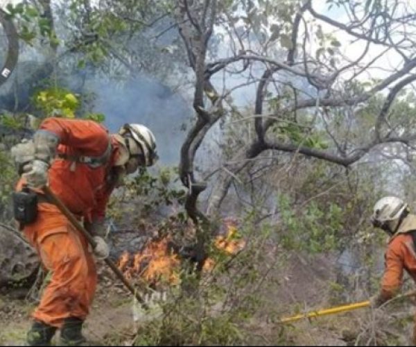 Governo da Bahia antecipa ações e mobiliza estrutura para proteger população dos efeitos do El Niño