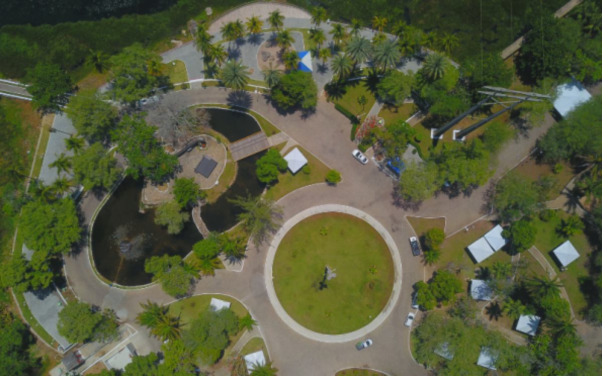 Parque Belvedere passa por revitalização com foco na preservação ambiental e segurança da população
