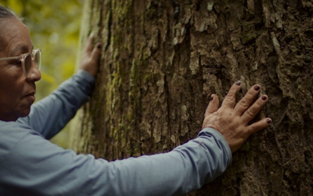 Modelo de negócios da Natura na Amazônia é retratado em série sobre impacto positivo