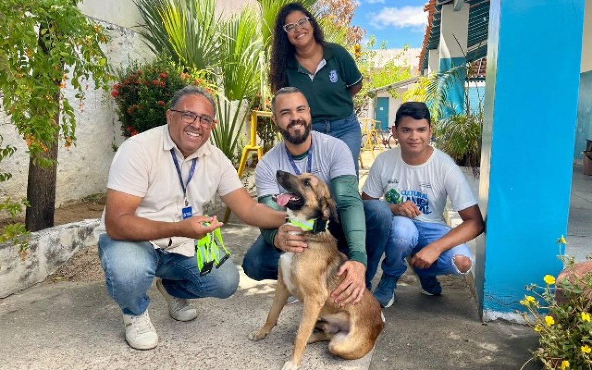 Animais de rua atendidos pela SUPATAS recebem Coleiras Reflexivas em mais uma ação da prefeitura