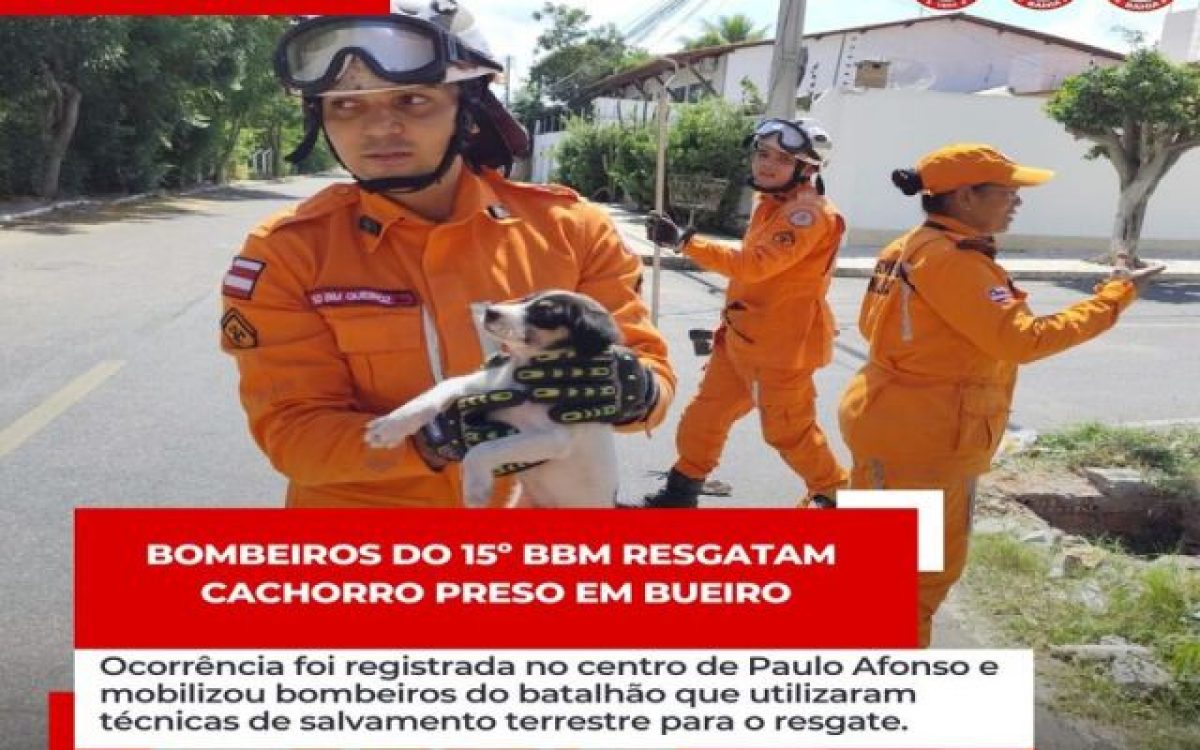 Bombeiros do 15º BBM resgatam cachorro preso em bueiro em Paulo Afonso