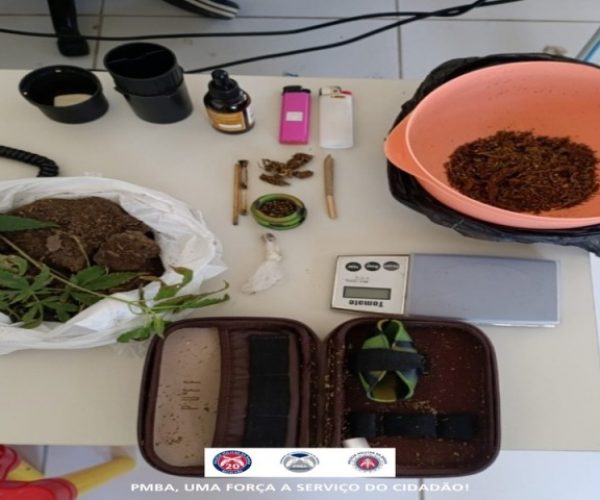 POLICIA MILITAR APREENDE DROGAS E PLANTAS DE MACONHA EM PAULO AFONSO