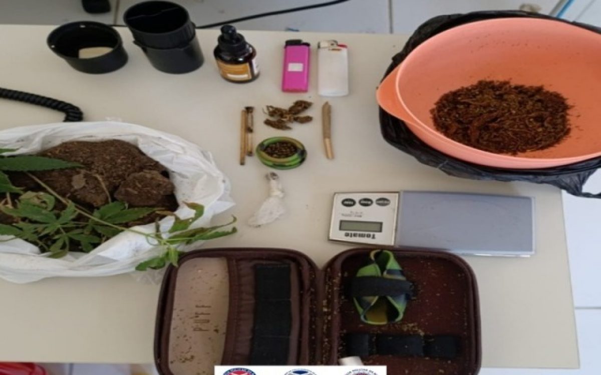 POLICIA MILITAR APREENDE DROGAS E PLANTAS DE MACONHA EM PAULO AFONSO