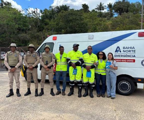 Atropelamentos causam mais da metade das mortes nas rodovias baianas