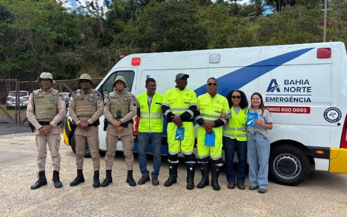 Atropelamentos causam mais da metade das mortes nas rodovias baianas