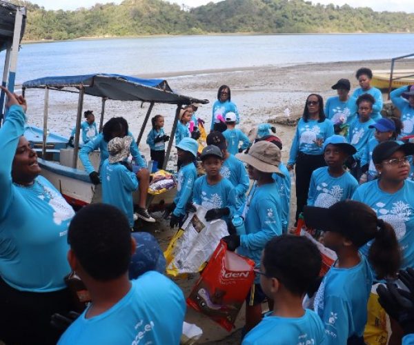 Aproximadamente 500 kg de resíduos são retirados e 350 mudas de mangue são plantadas na Ilha de Maria Guarda