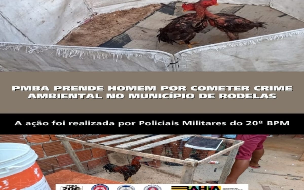 POLICIA MILITAR PRENDE HOMEM POR COMETER CRIME AMBIENTAL NO MUNICÍPIO DE RODELAS