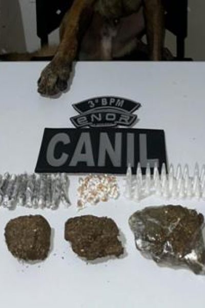 CREATOR: gd-jpeg v1.0 (using IJG JPEG v62), default quality