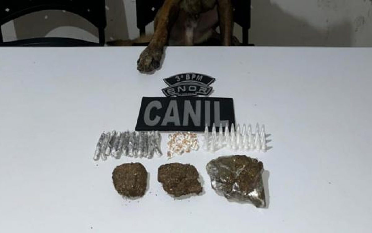 CREATOR: gd-jpeg v1.0 (using IJG JPEG v62), default quality