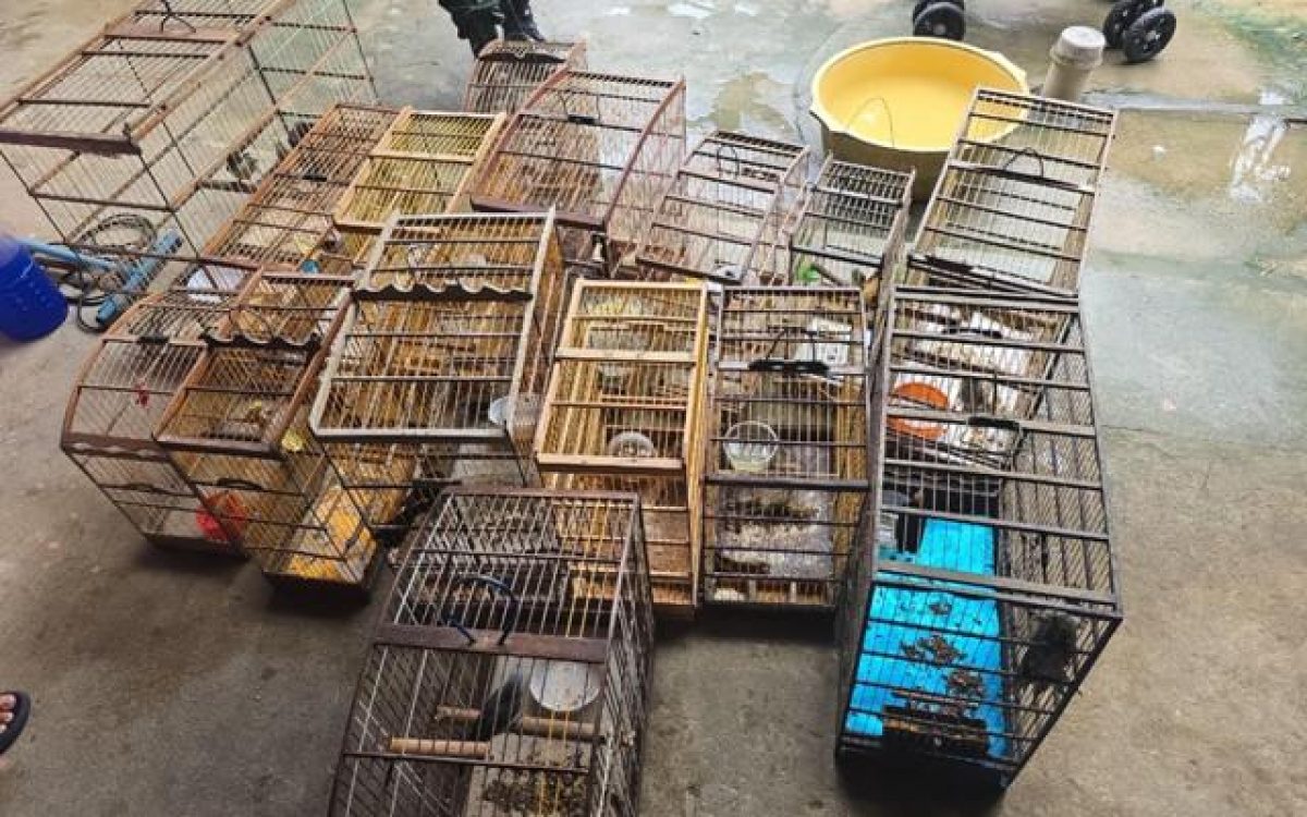 CREATOR: gd-jpeg v1.0 (using IJG JPEG v62), default quality