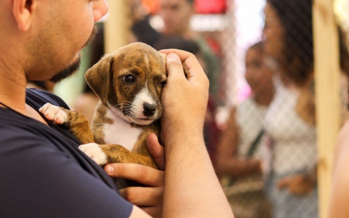 Boulevard Shopping recebe primeira campanha de adoção pet do ano