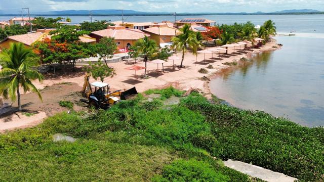 Prefeitura Municipal de Glória inicia retirada das baronesas no Balneário Canto das Águas