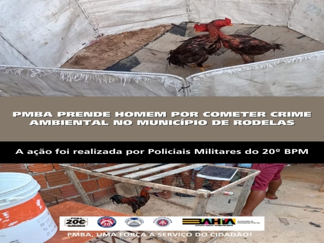 POLICIA MILITAR PRENDE HOMEM POR COMETER CRIME AMBIENTAL NO MUNICÍPIO DE RODELAS