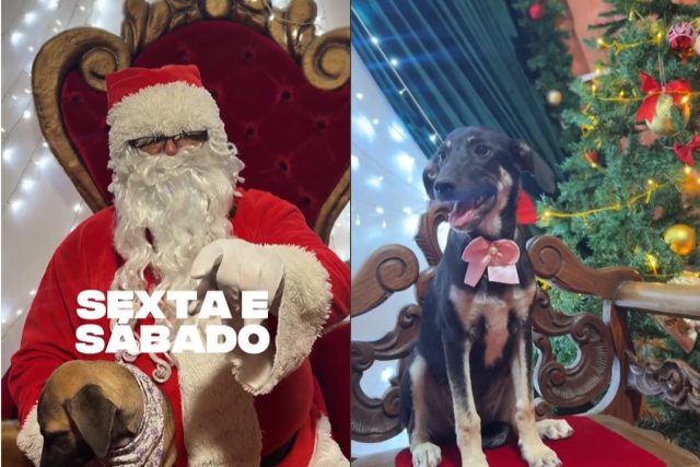 CREATOR: gd-jpeg v1.0 (using IJG JPEG v62), quality = 82