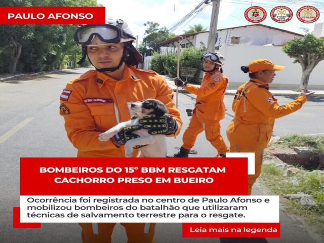 Bombeiros do 15º BBM resgatam cachorro preso em bueiro em Paulo Afonso