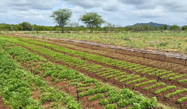 Gestão municipal atua de forma célere e assegura fornecimento de água para agricultores do Distrito da Caiçara