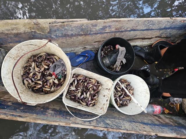 CREATOR: gd-jpeg v1.0 (using IJG JPEG v62), default quality