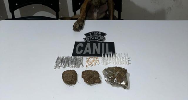 CREATOR: gd-jpeg v1.0 (using IJG JPEG v62), default quality