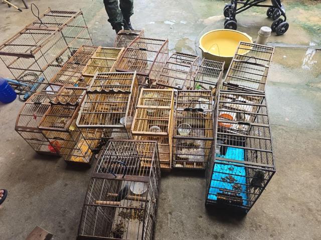 CREATOR: gd-jpeg v1.0 (using IJG JPEG v62), default quality