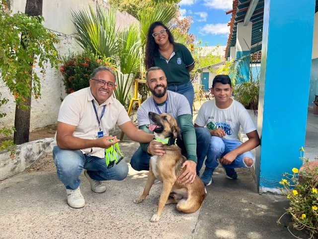 Animais de rua atendidos pela SUPATAS recebem Coleiras Reflexivas em mais uma ação da prefeitura