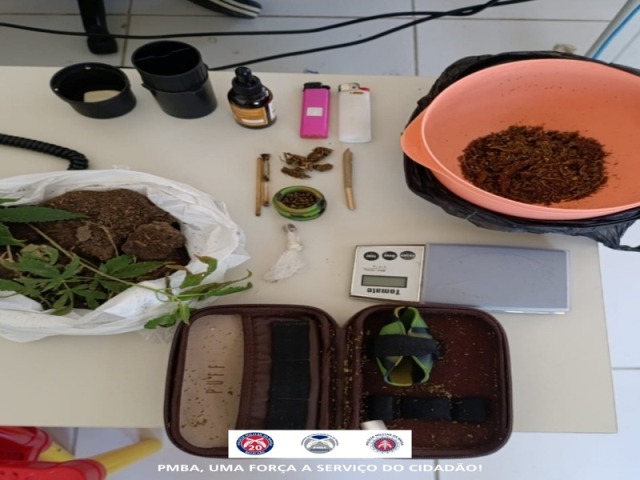 POLICIA MILITAR APREENDE DROGAS E PLANTAS DE MACONHA EM PAULO AFONSO
