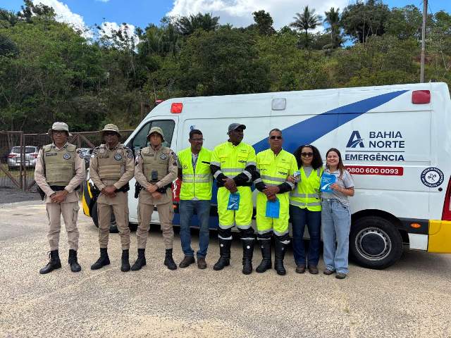 Atropelamentos causam mais da metade das mortes nas rodovias baianas