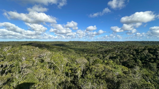 Reconhecida pela Unesco, RPPN Lontra completa 30 anos como refúgio para espécies ameaçadas da Mata Atlântica na Bahia
